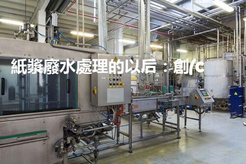紙漿廢水處理的以后：創(chuàng)新技術(shù)與生態(tài)平衡？